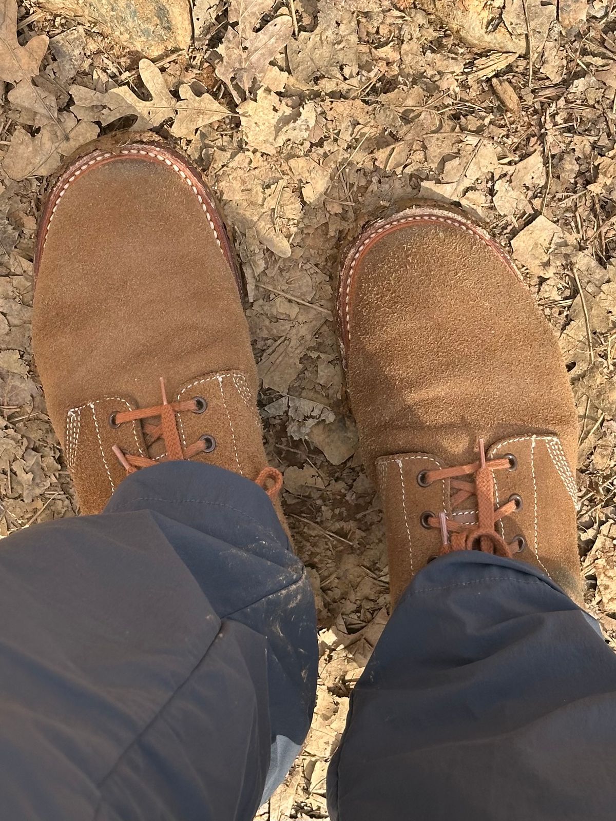 Photo by gv7 on January 26, 2025 of the John Lofgren M-43 Service Boots in Horween Natural Chromexcel Roughout.