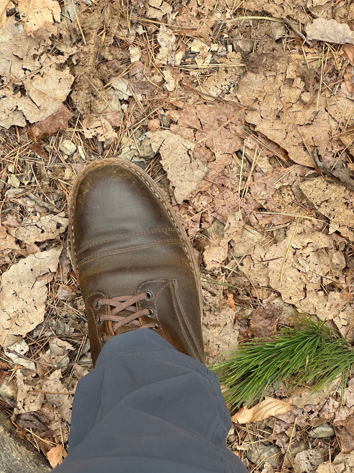 Photo by gv7 on December 21, 2025 of the White's MP-Sherman Toe Cap in Horween Cinnamon Waxed Flesh.