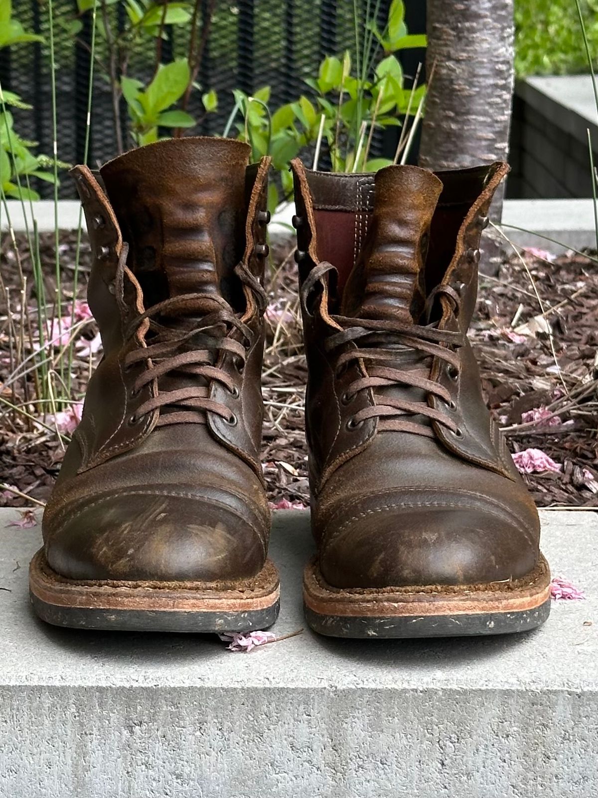 Photo by gv7 on April 3, 2026 of the White's MP-Sherman Toe Cap in Horween Cinnamon Waxed Flesh.