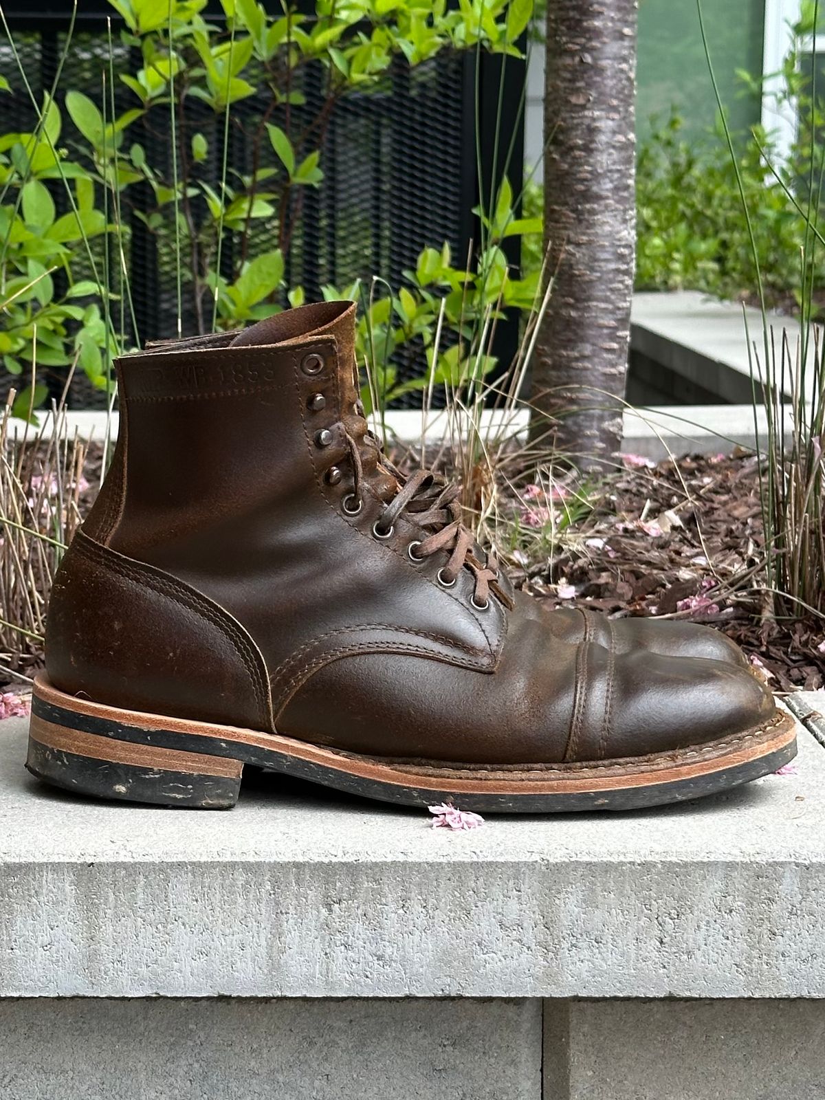 Photo by gv7 on April 3, 2026 of the White's MP-Sherman Toe Cap in Horween Cinnamon Waxed Flesh.
