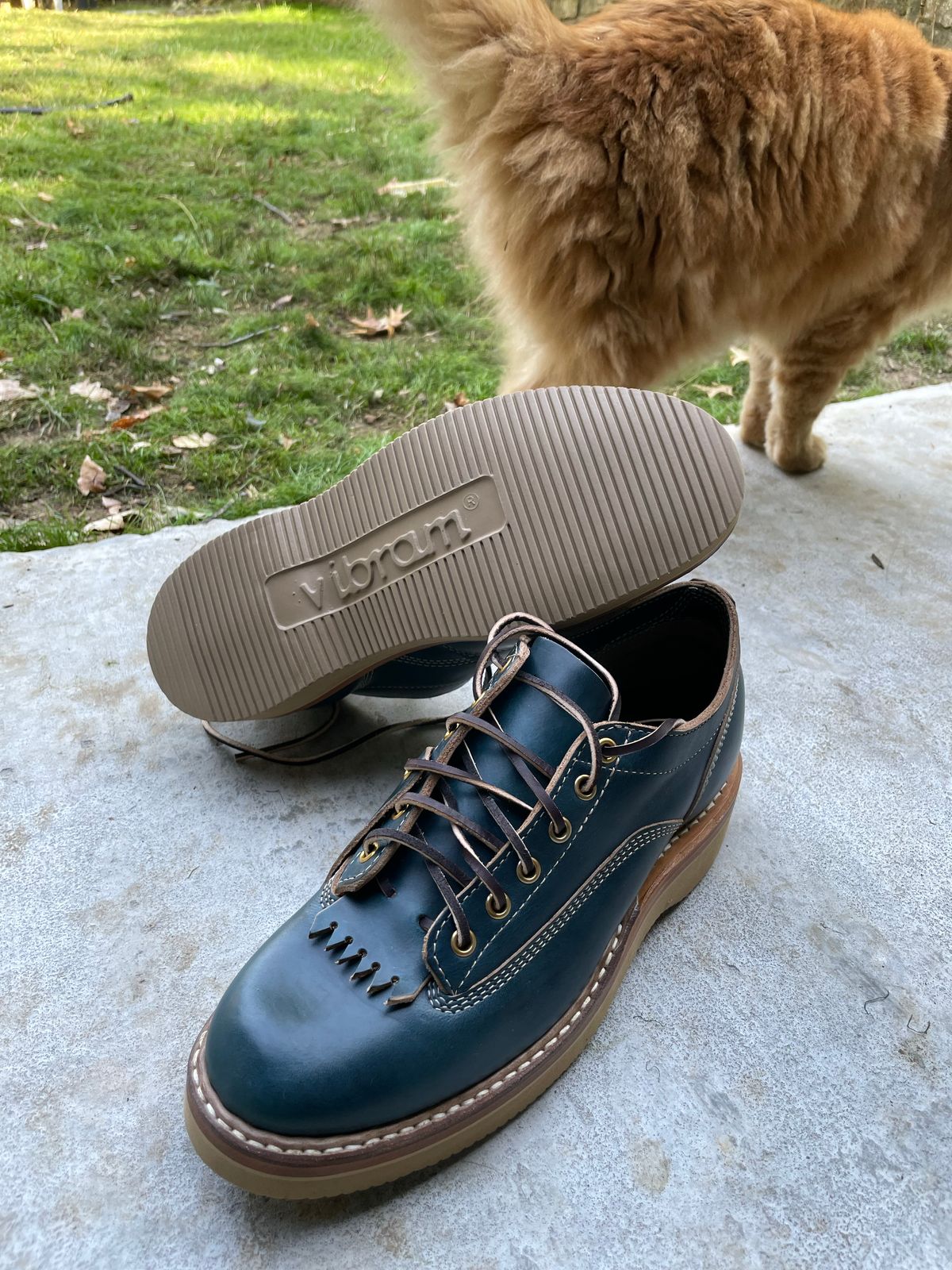 Photo by davarcher on October 1, 2022 of the White's Oxford in Horween Navy Chromexcel.