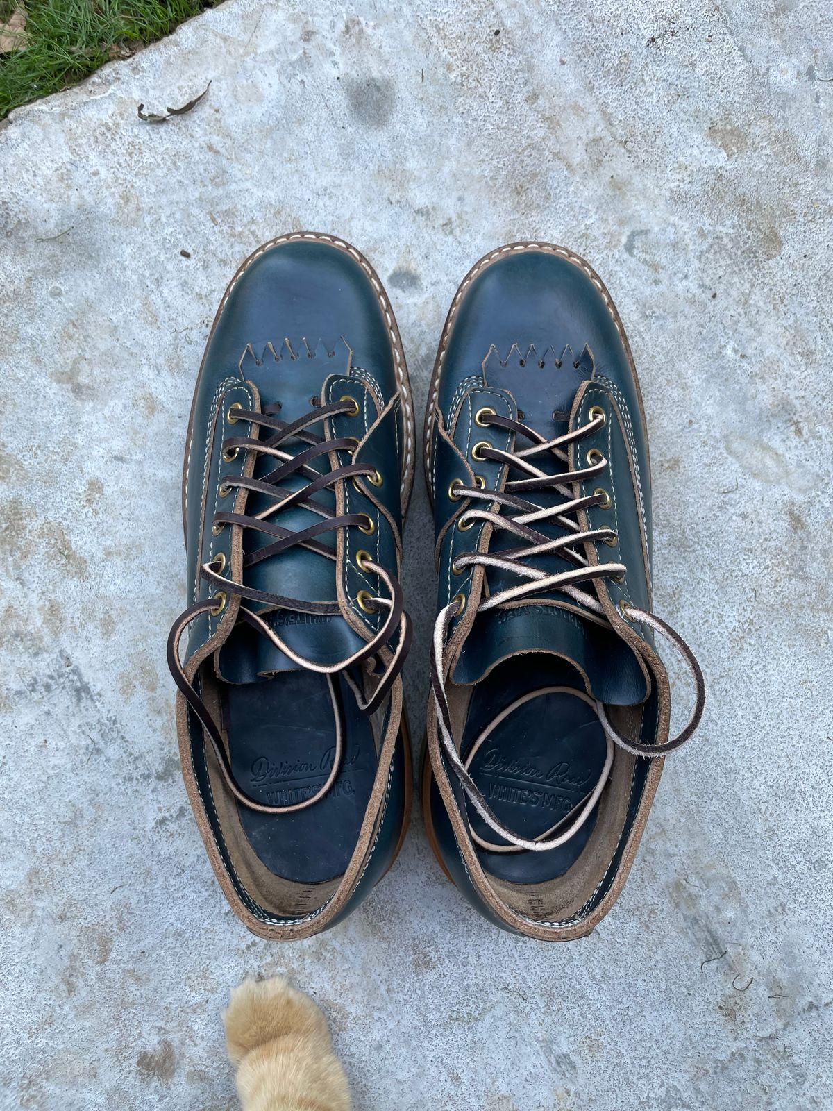 Photo by davarcher on October 1, 2022 of the White's Oxford in Horween Navy Chromexcel.