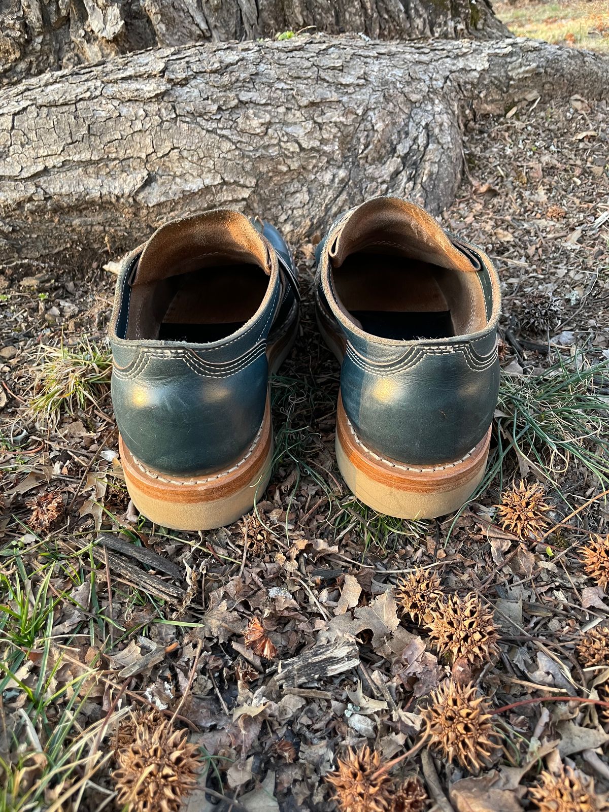 Photo by davarcher on February 5, 2023 of the White's Oxford in Horween Navy Chromexcel.