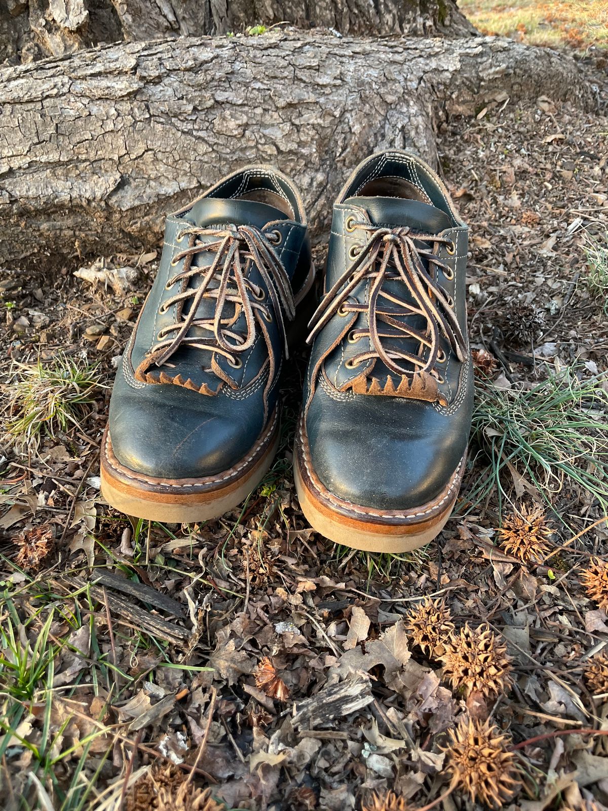 Photo by davarcher on February 5, 2023 of the White's Oxford in Horween Navy Chromexcel.