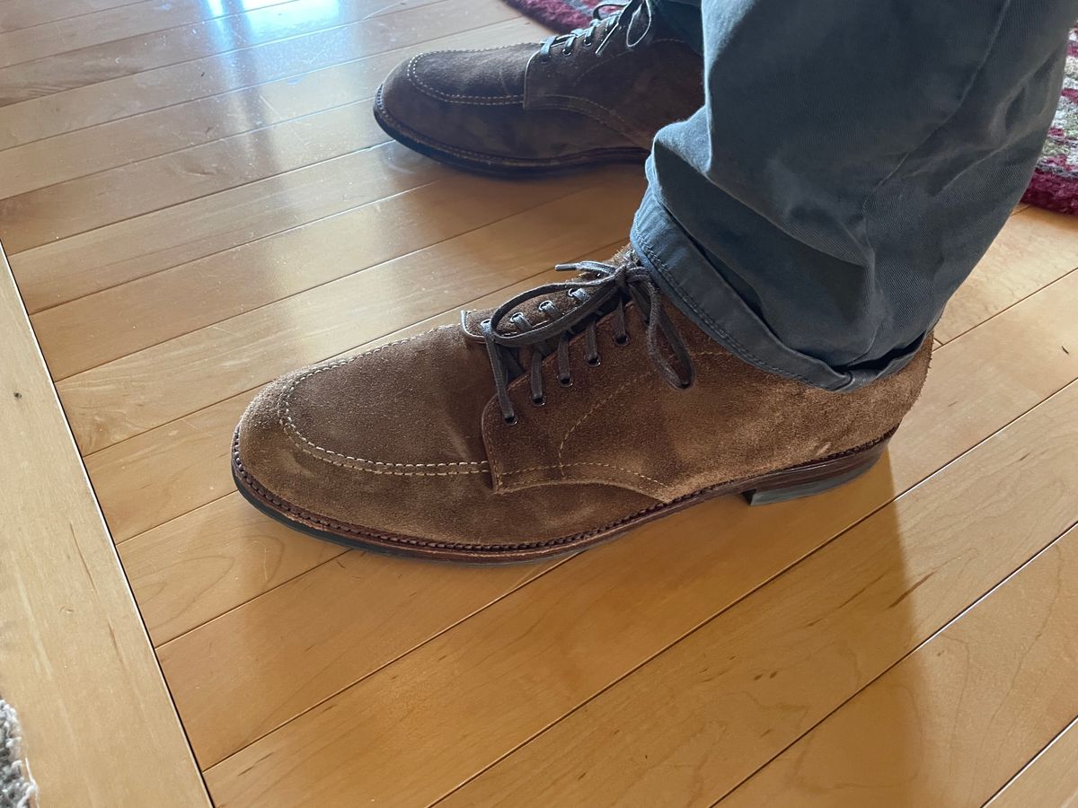 Photo by wonkytoe on April 9, 2024 of the Alden Indy Chukka in C.F. Stead Snuff Janus Calf Suede.