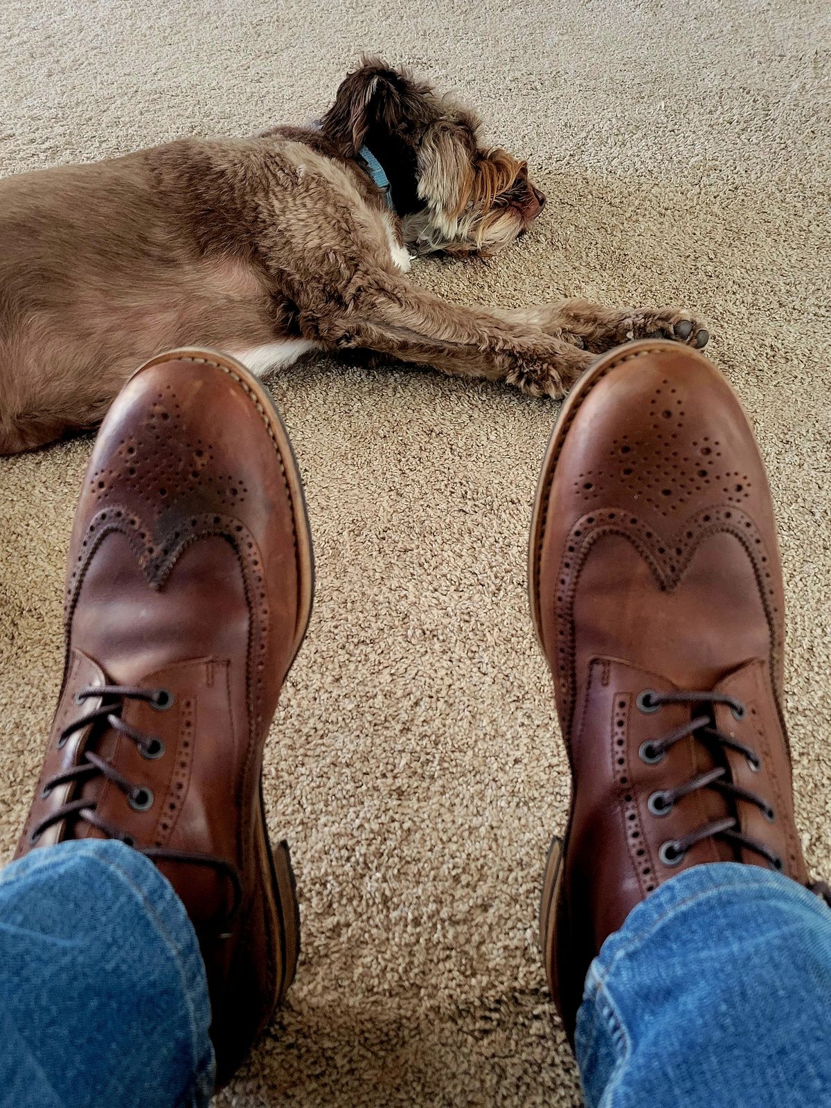Photo by hosekileather on October 28, 2022 of the Mark Albert Countrty Boot in C.F. Stead Dark Snuff Regency Calf.
