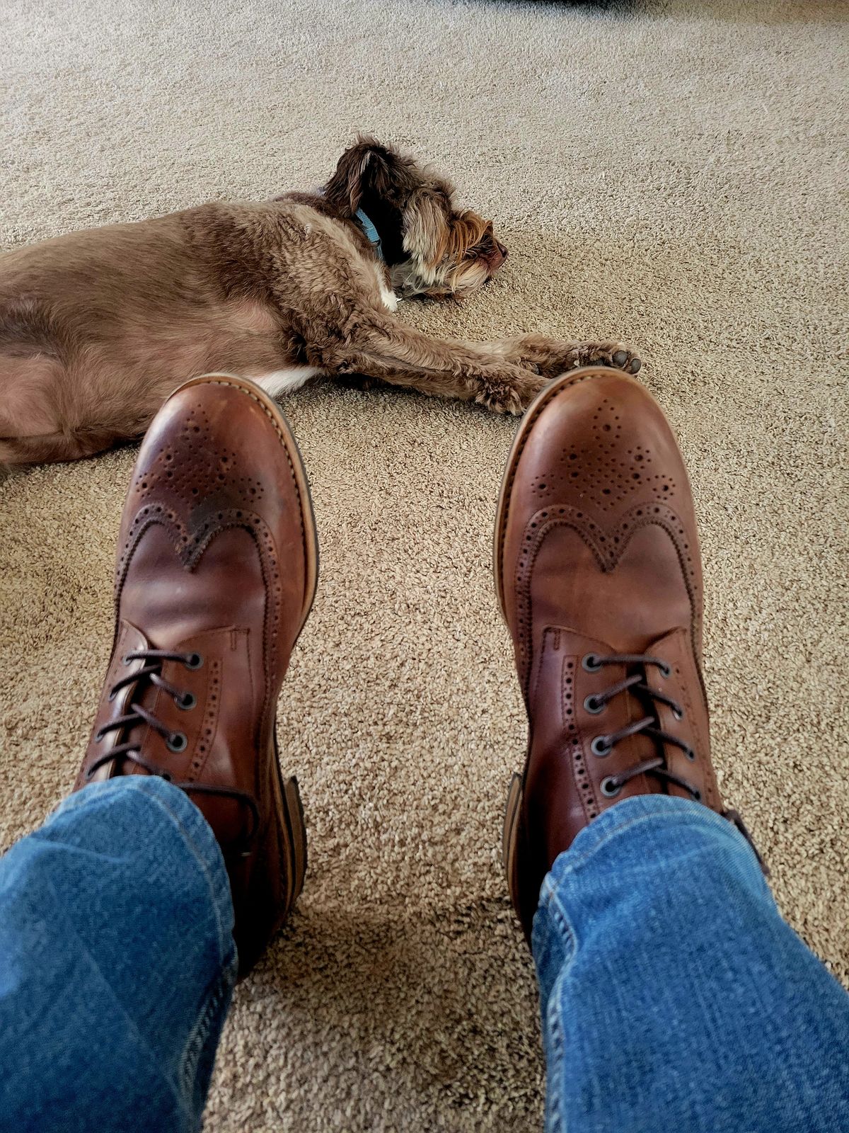 Photo by hosekileather on November 1, 2022 of the Mark Albert Countrty Boot in C.F. Stead Dark Snuff Regency Calf.