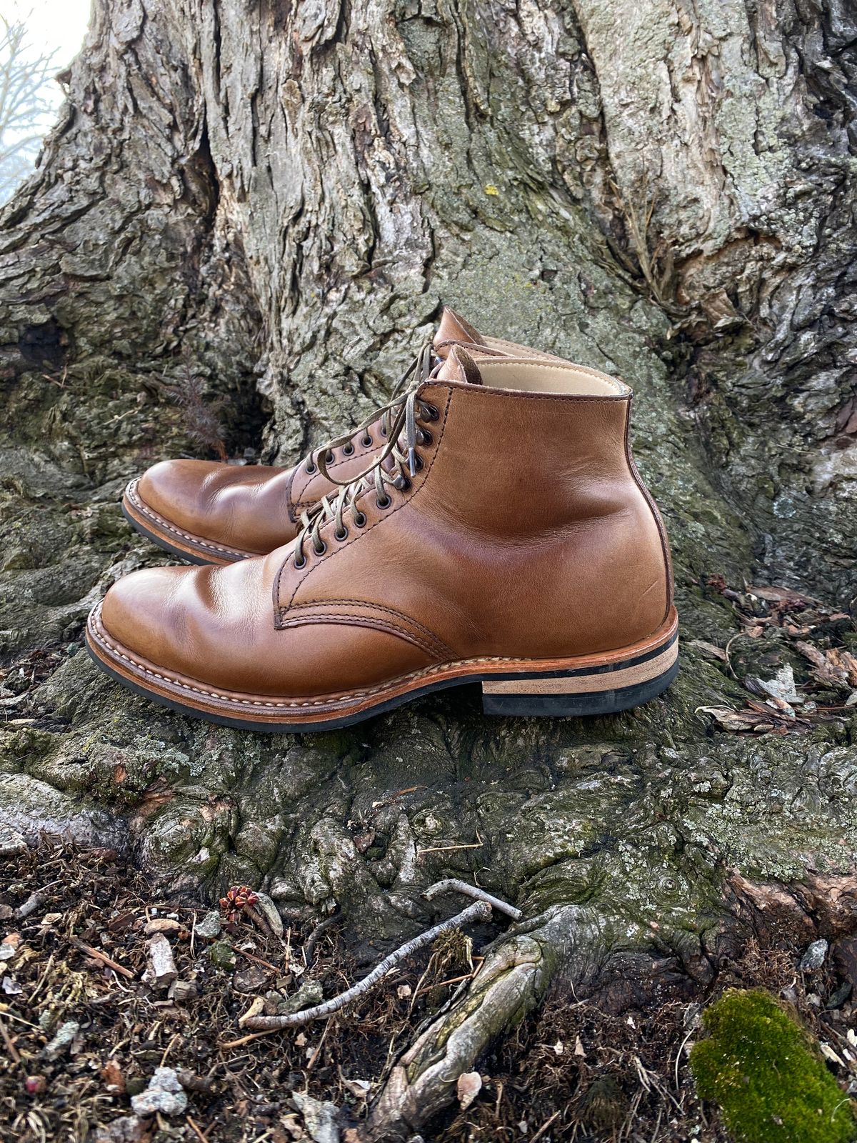 Photo by boottherapy on April 1, 2023 of the White's Stevens (Plain Toe) in Horween Natural Chromexcel.