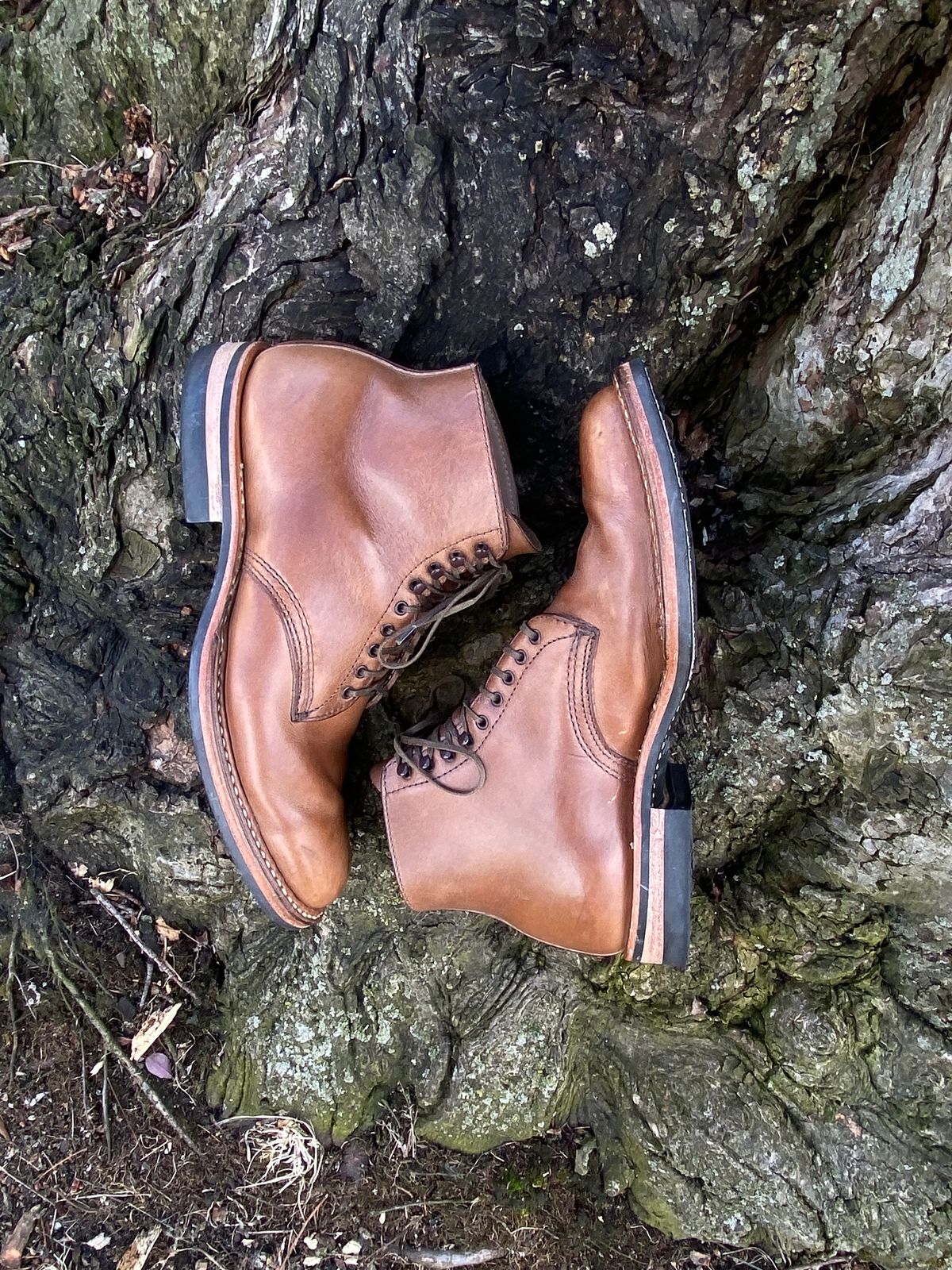 Photo by boottherapy on April 1, 2023 of the White's Stevens (Plain Toe) in Horween Natural Chromexcel.