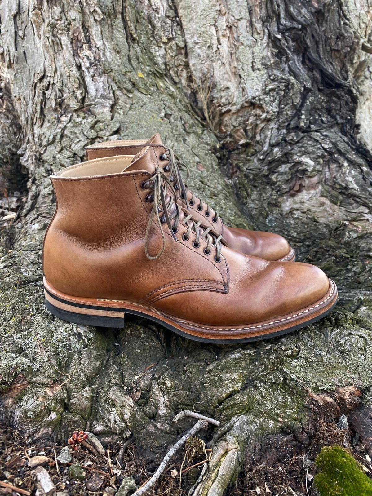 Photo by boottherapy on April 1, 2023 of the White's Stevens (Plain Toe) in Horween Natural Chromexcel.