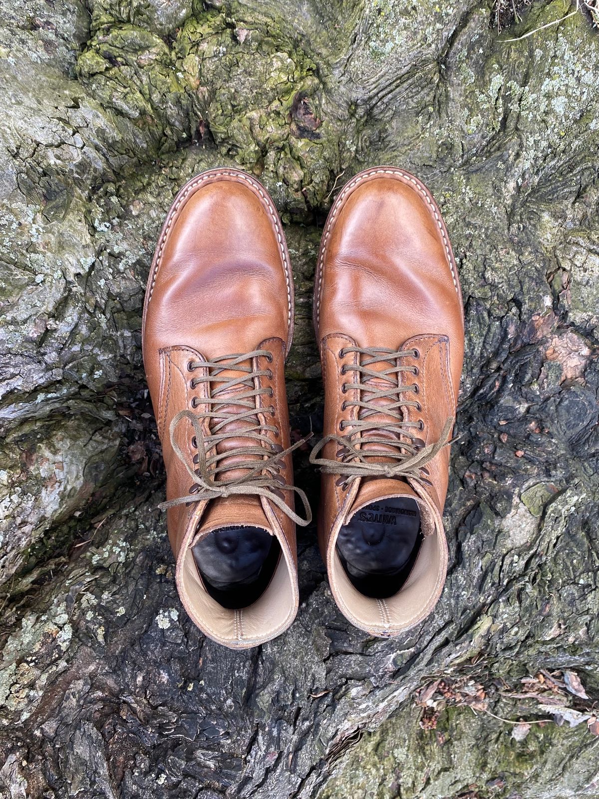 Photo by boottherapy on April 1, 2023 of the White's Stevens (Plain Toe) in Horween Natural Chromexcel.