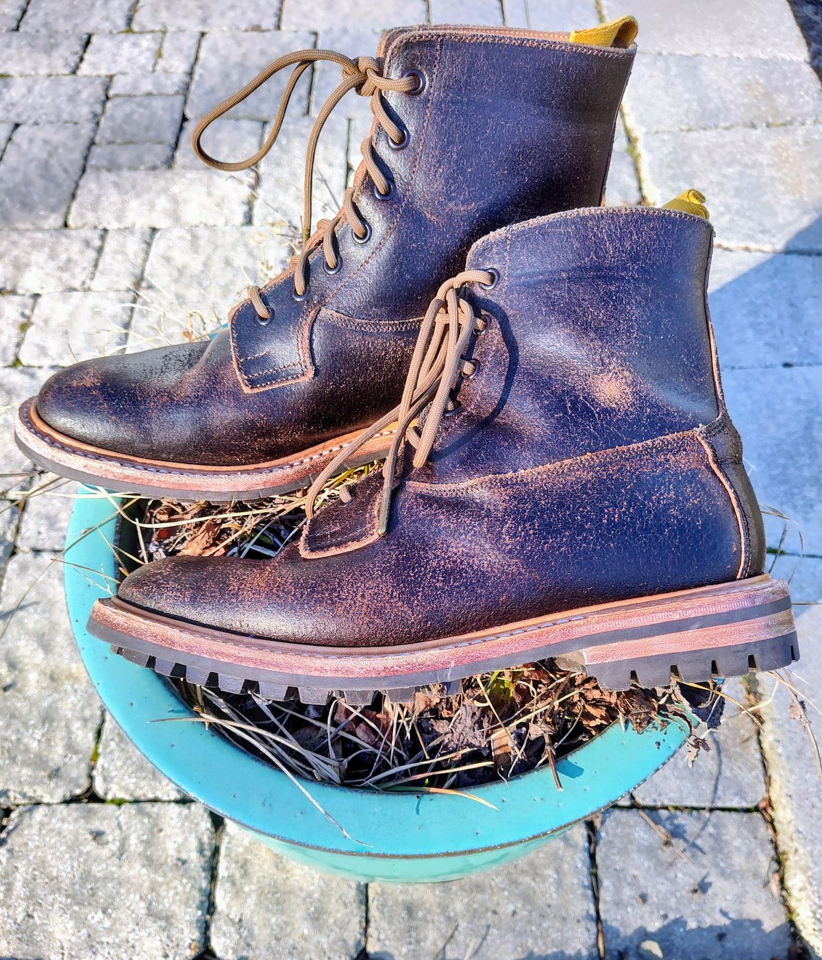 Photo by farroyo81 on February 3, 2024 of the Tricker's Burford Plain Derby Boot in Horween Java Waxed Flesh.