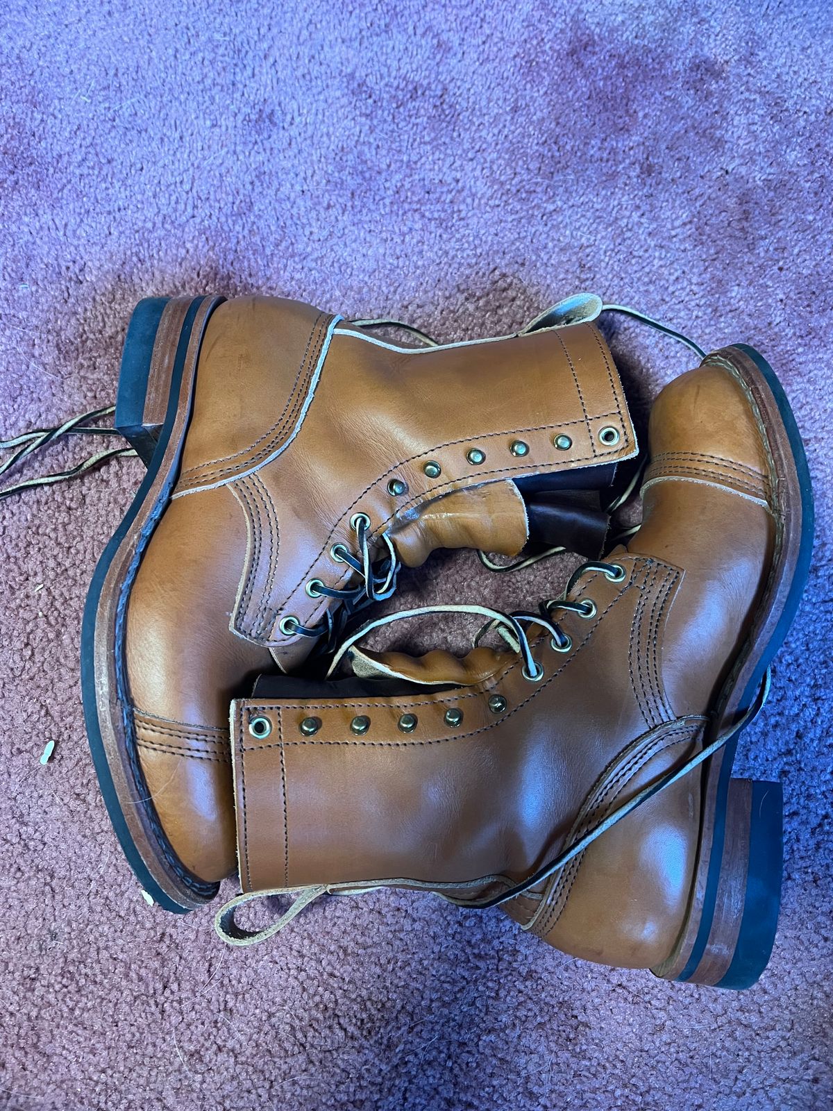 Photo by ccswift on January 5, 2024 of the Nicks DomePro in Wickett & Craig Tan English Bridle.