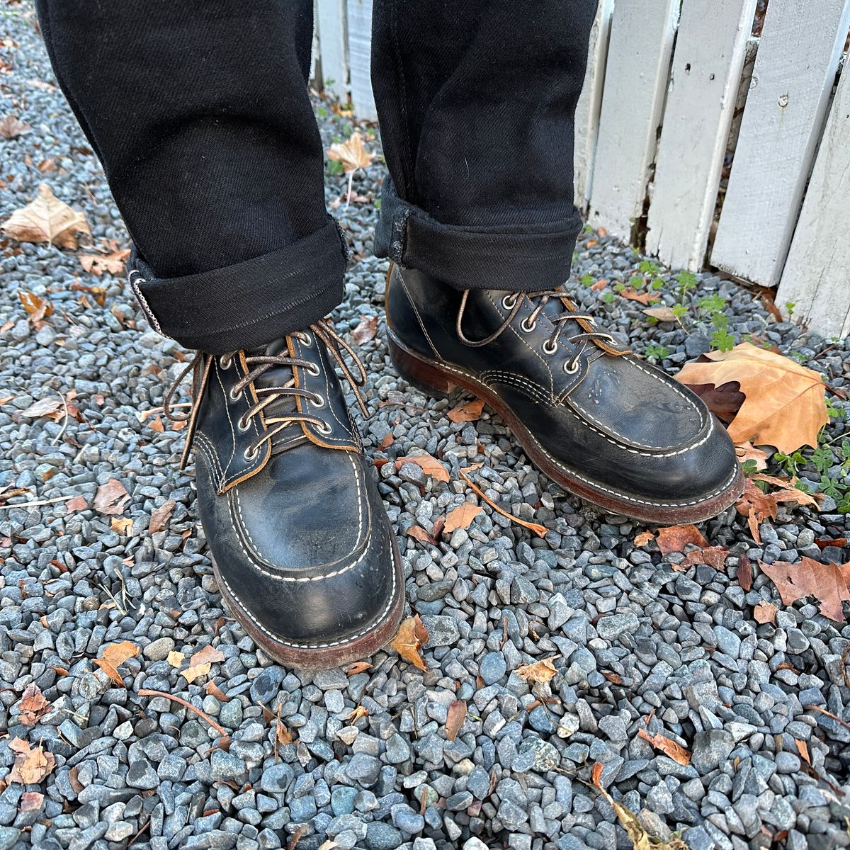 Photo by bankrobber on November 12, 2024 of the Red Wing 9874 in S.B. Foot Black Klondike.