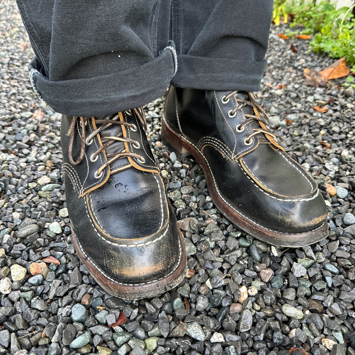 Photo by bankrobber on March 13, 2025 of the Red Wing 9874 in S.B. Foot Black Klondike.