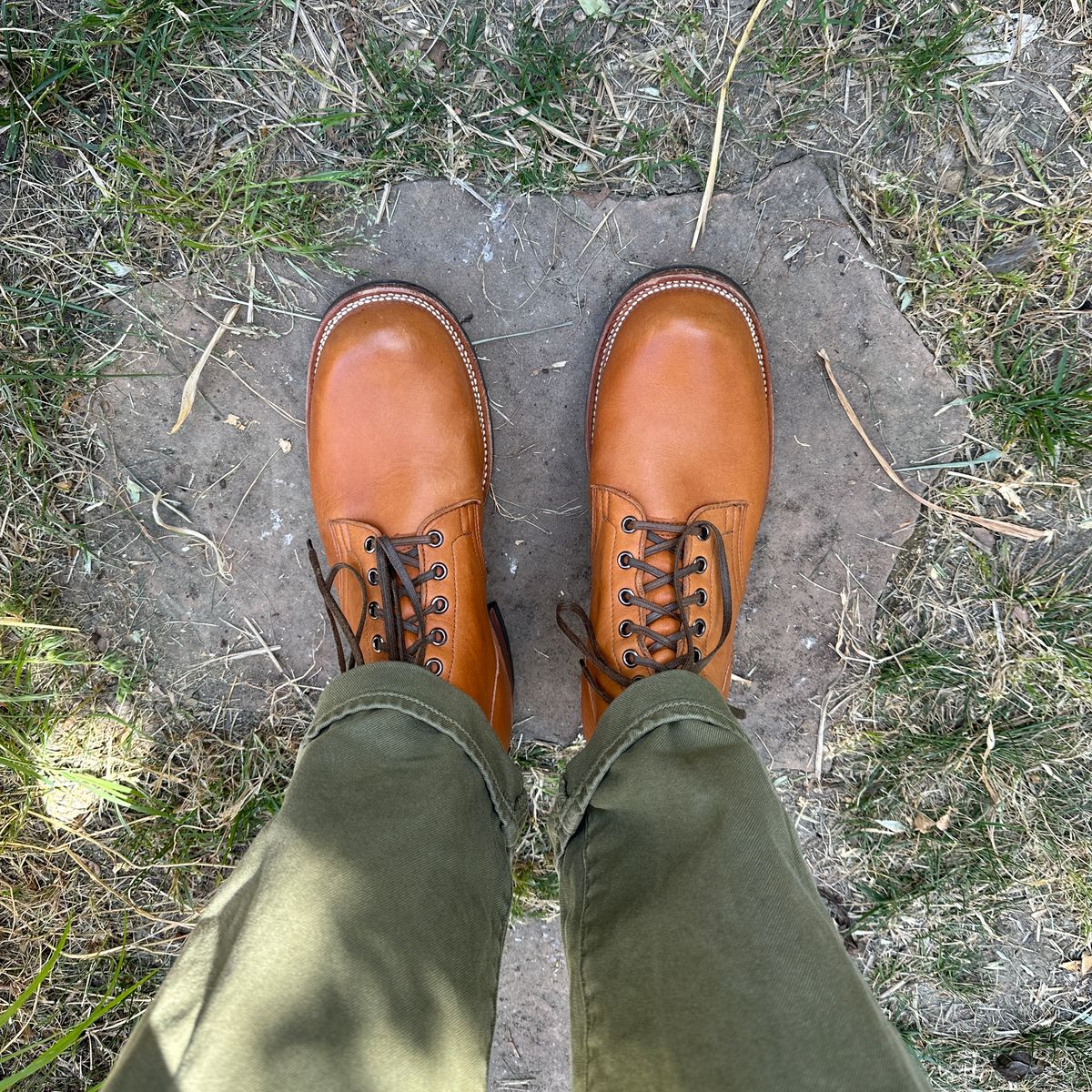 Photo by bankrobber on May 1, 2024 of the Viberg Service Boot in Horween Chestnut Essex.