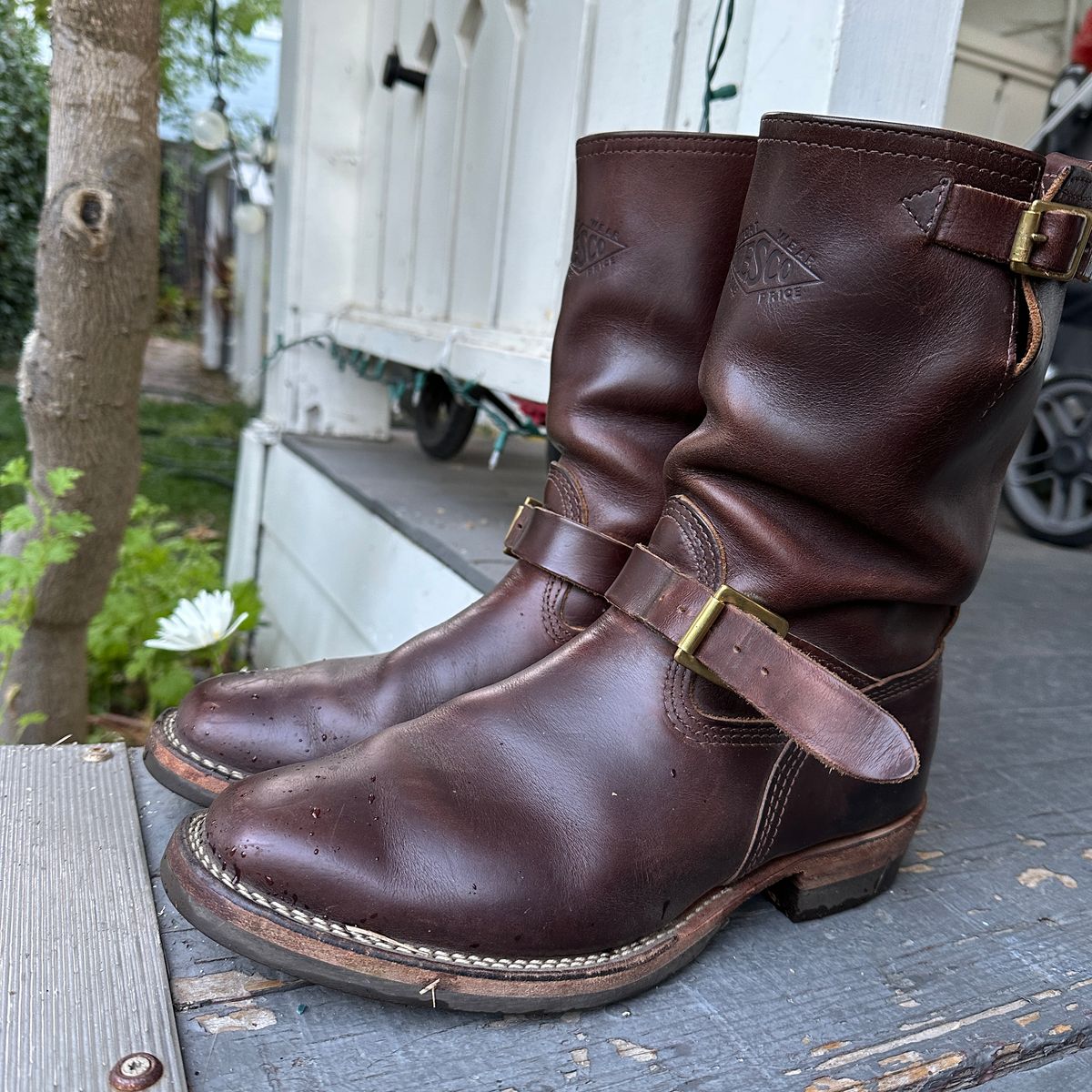 Photo by bankrobber on August 13, 2024 of the Wesco Mister Lou in Horween Brown Chromexcel.