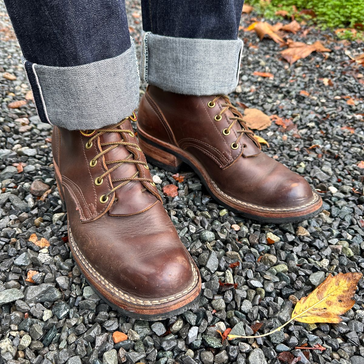 Photo by bankrobber on December 18, 2023 of the Nicks Robert in Horween Brown Chromexcel.