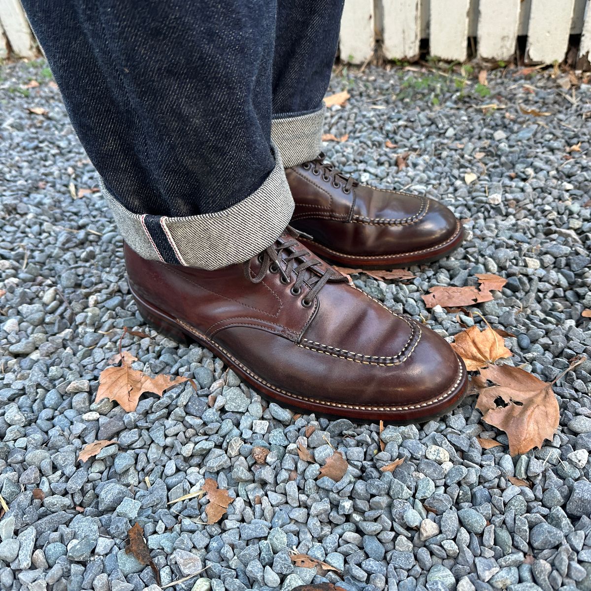 Photo by bankrobber on October 25, 2025 of the Alden Indy Boot in Horween Color 8 Shell Cordovan.