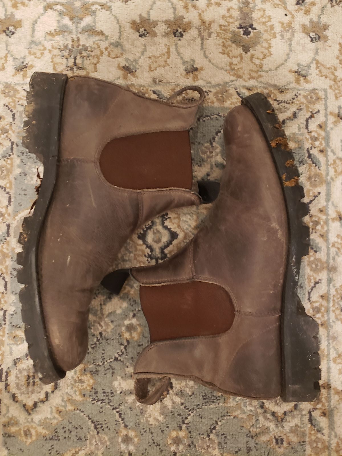Photo by jpsmith on January 6, 2023 of the Canada West Boots Romeo in Crazy Horse.