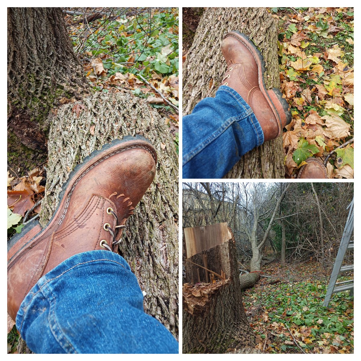 Photo by timmoffatt on November 11, 2023 of the Nicks BuilderPro in Seidel 1964 Brown.