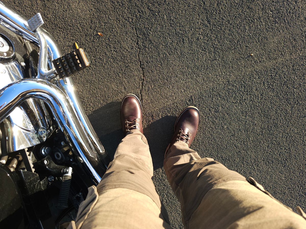Photo by Saculer on October 23, 2023 of the Nicks Free Range in Wickett & Craig Dark Brown English Bridle.