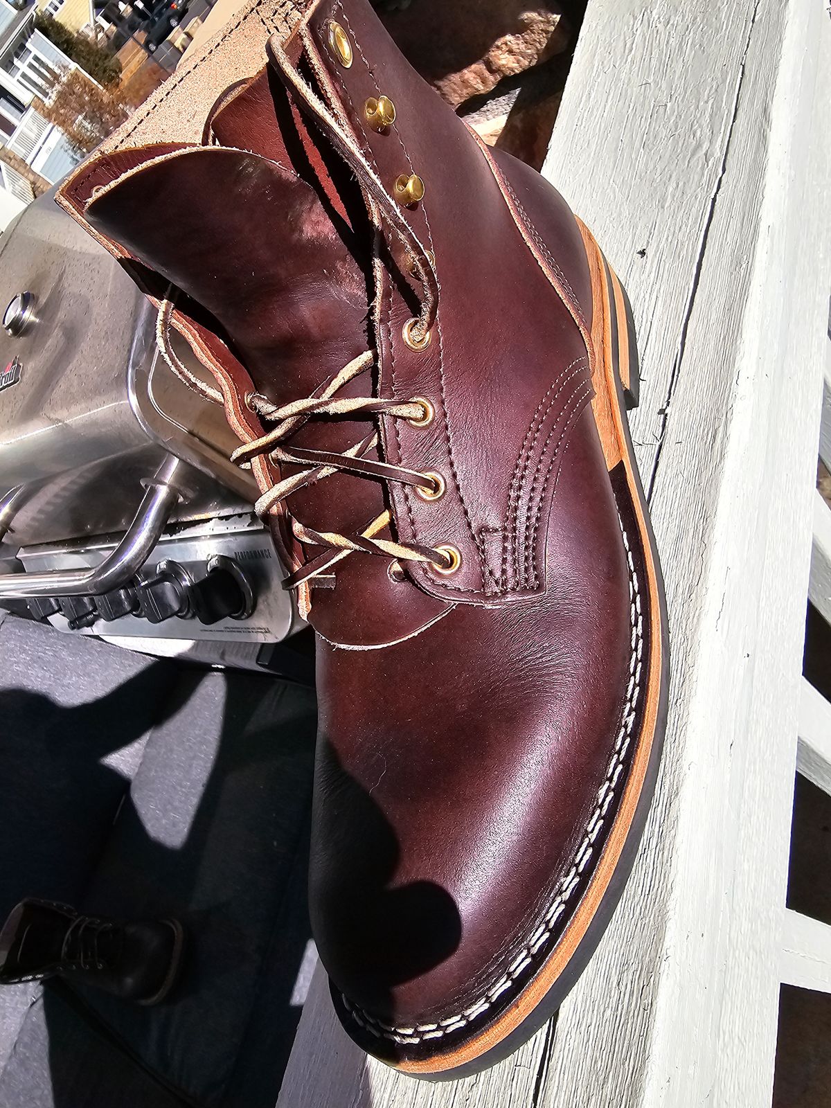 Photo by Saculer on November 4, 2023 of the Nicks Free Range in Wickett & Craig Dark Brown English Bridle.