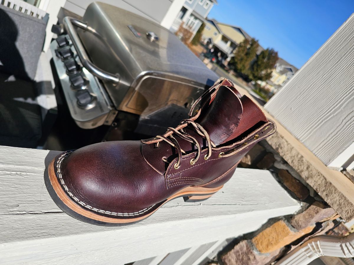 Photo by Saculer on November 4, 2023 of the Nicks Free Range in Wickett & Craig Dark Brown English Bridle.