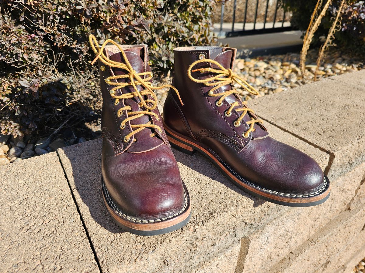 Photo by Saculer on January 5, 2024 of the Nicks Free Range in Wickett & Craig Dark Brown English Bridle.