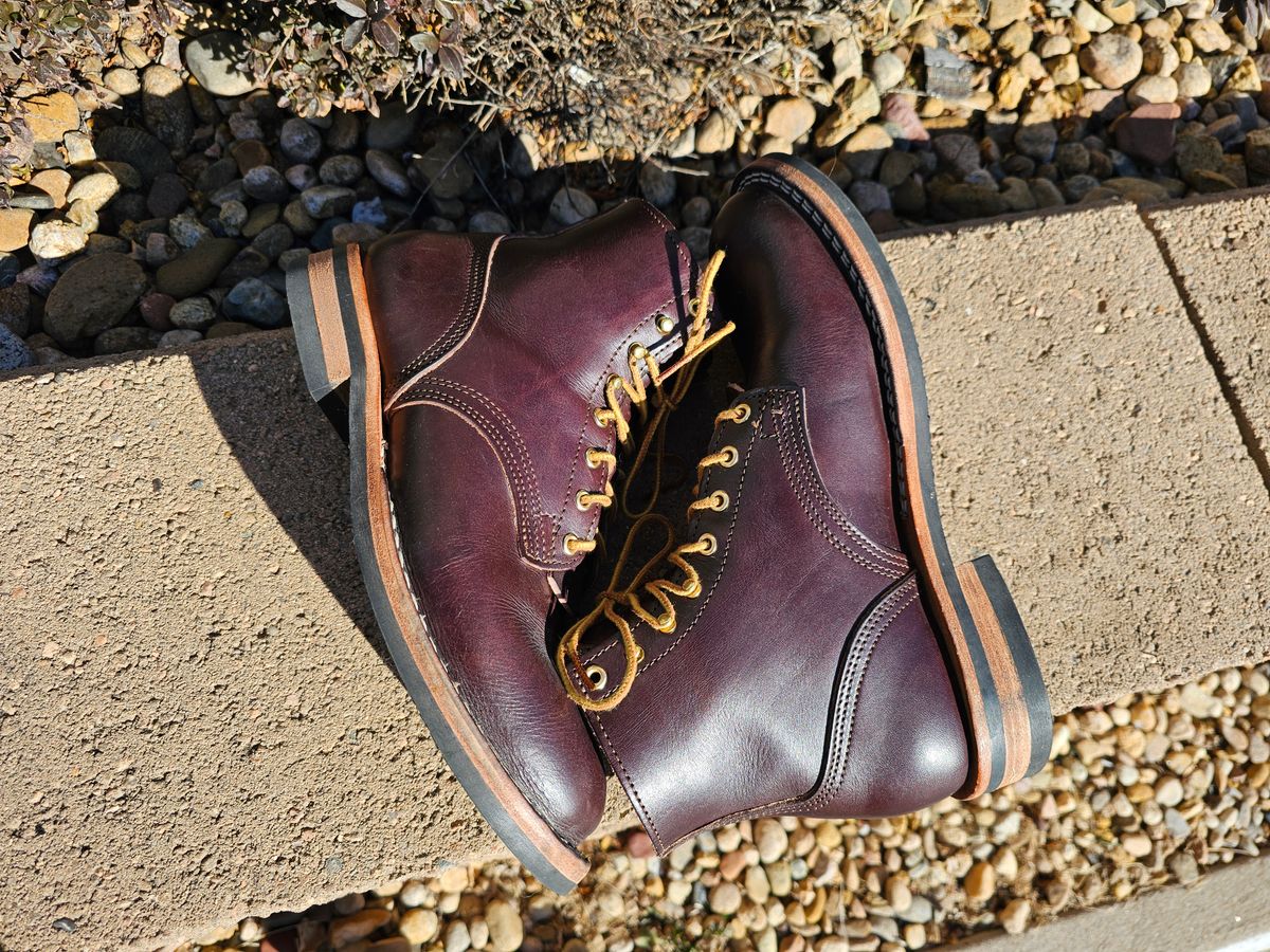 Photo by Saculer on January 5, 2024 of the Nicks Free Range in Wickett & Craig Dark Brown English Bridle.