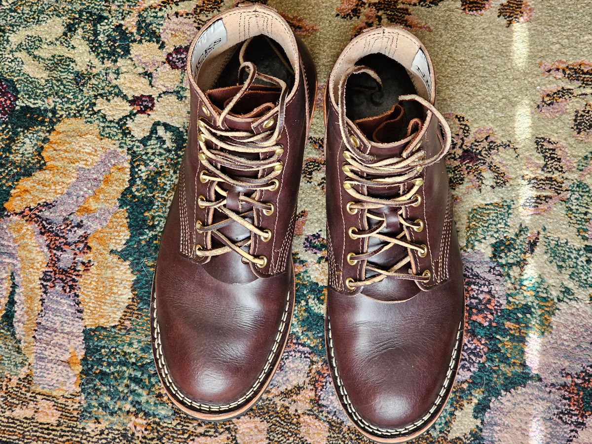 Photo by Saculer on February 5, 2024 of the Nicks Free Range in Wickett & Craig Dark Brown English Bridle.