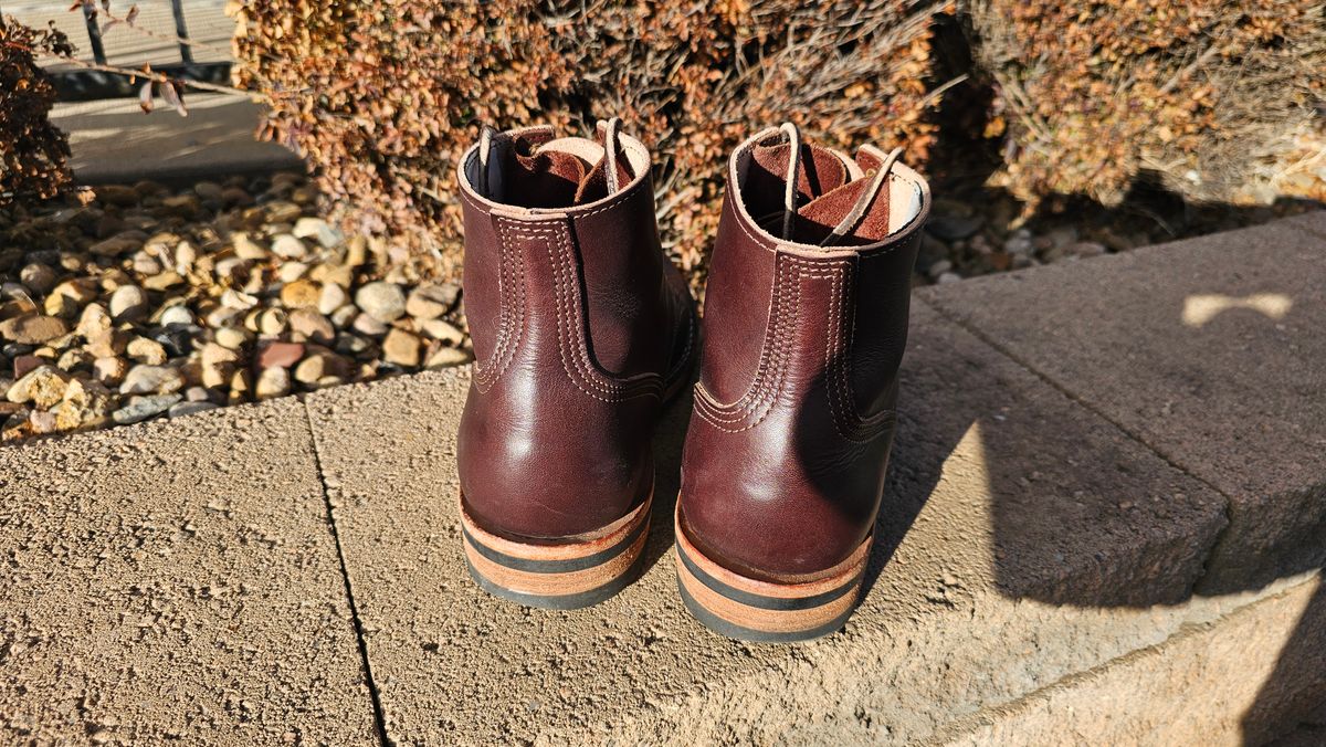 Photo by Saculer on March 4, 2024 of the Nicks Free Range in Wickett & Craig Dark Brown English Bridle.