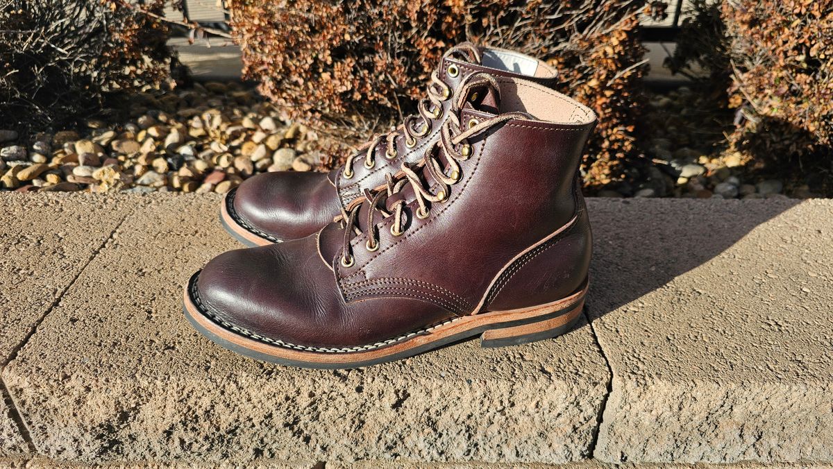 Photo by Saculer on March 4, 2024 of the Nicks Free Range in Wickett & Craig Dark Brown English Bridle.