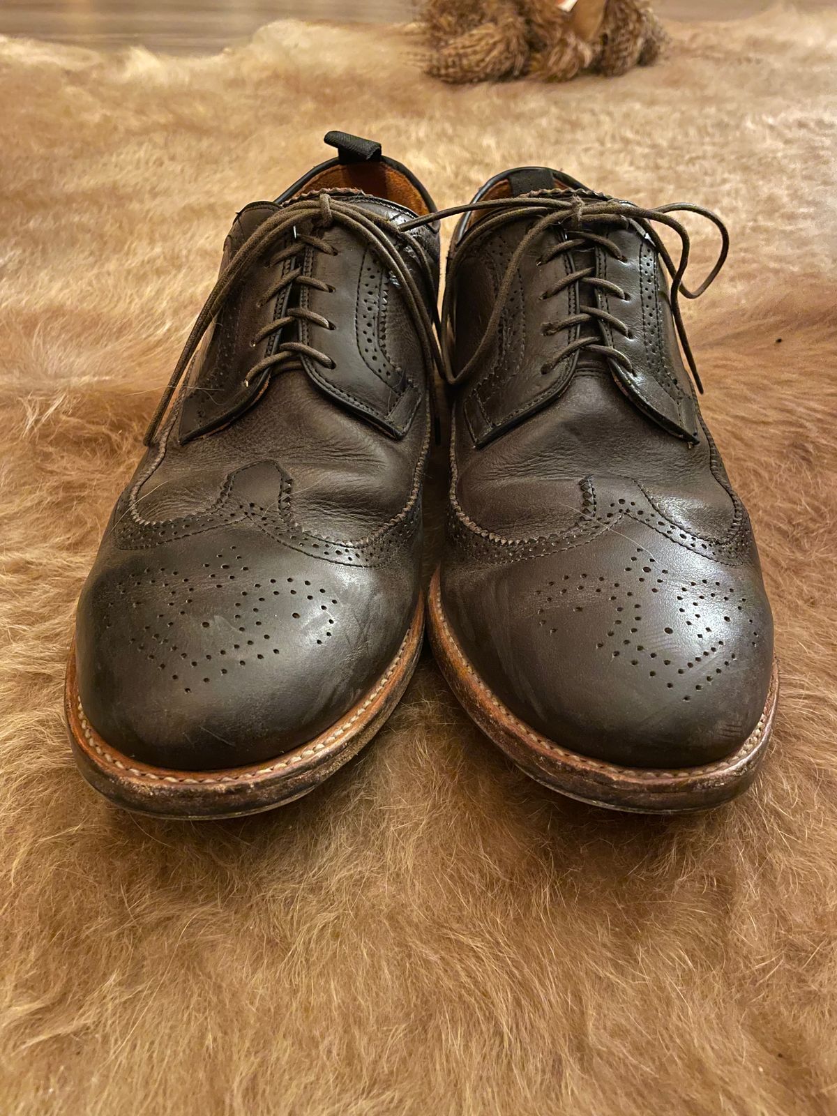 Photo by solidsalami117 on February 6, 2025 of the Viberg Brogue Shoe in Dust Calf.