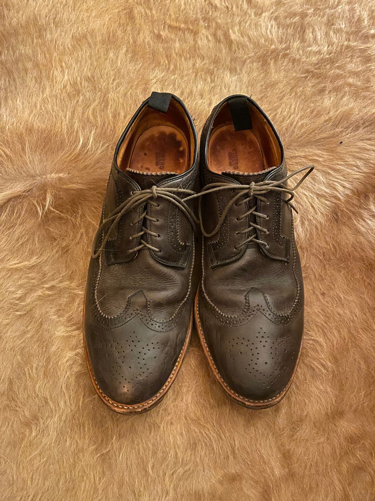 Photo by solidsalami117 on February 6, 2025 of the Viberg Brogue Shoe in Dust Calf.
