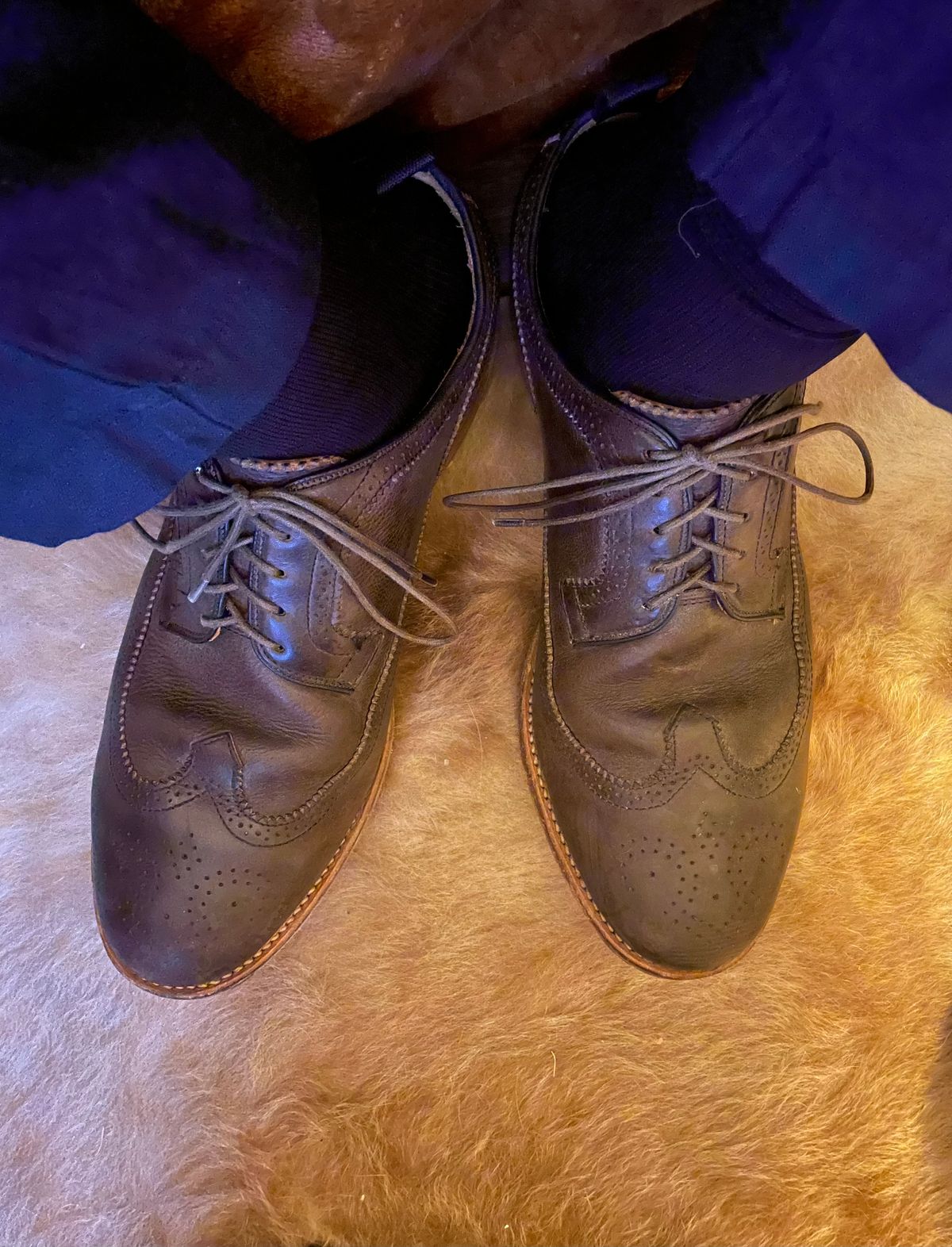 Photo by solidsalami117 on March 6, 2025 of the Viberg Brogue Shoe in Dust Calf.