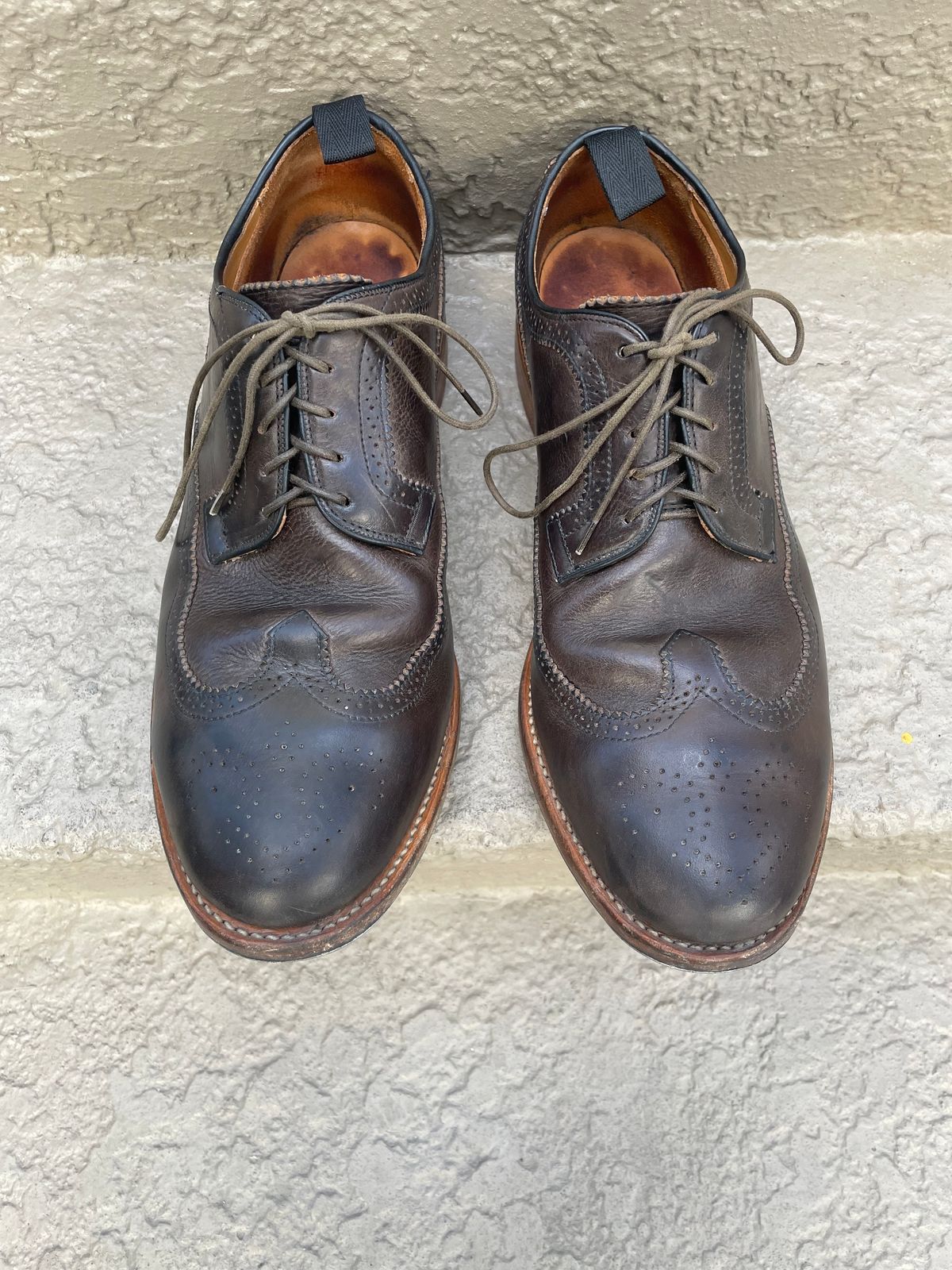 Photo by solidsalami117 on April 5, 2025 of the Viberg Brogue Shoe in Dust Calf.