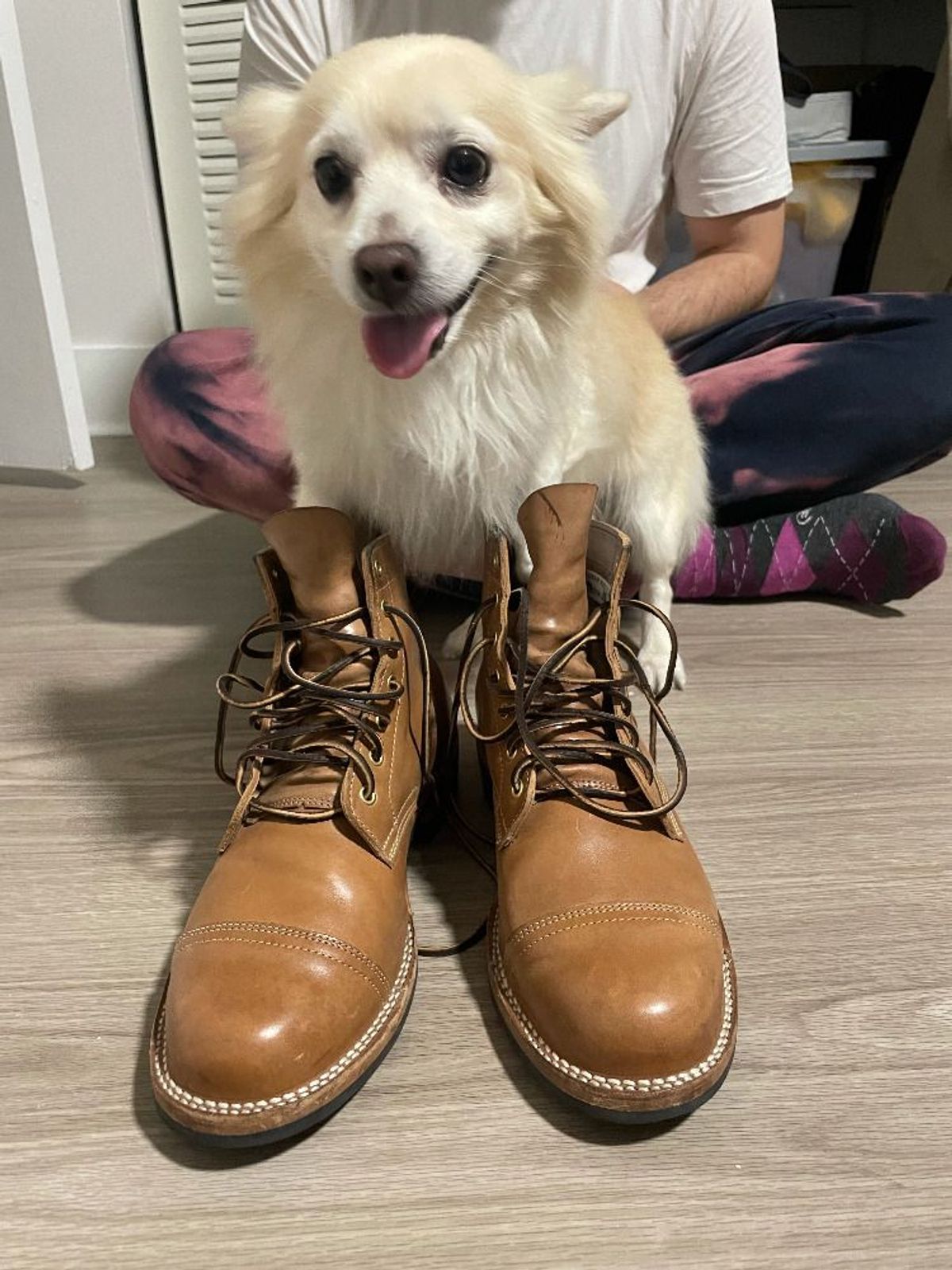 Photo by solidsalami117 on November 1, 2021 of the Truman Service Boot in Maryam Fango Horsebutt.