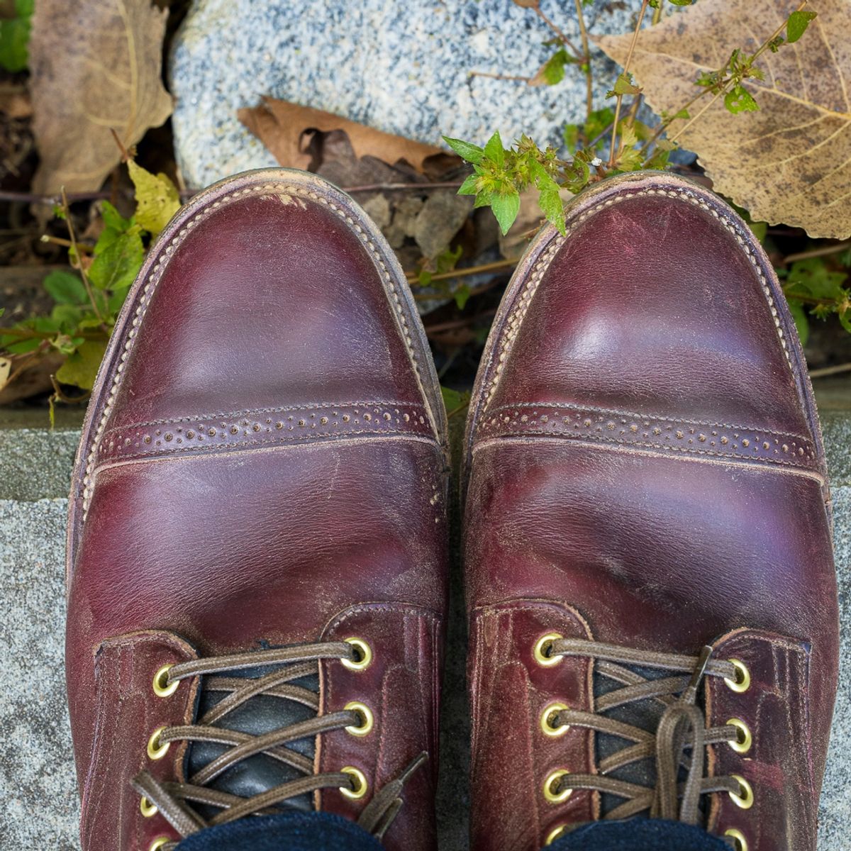 Photo by onelastboot on October 3, 2022 of the Viberg Service Boot in Horween Color 8 Chromexcel.