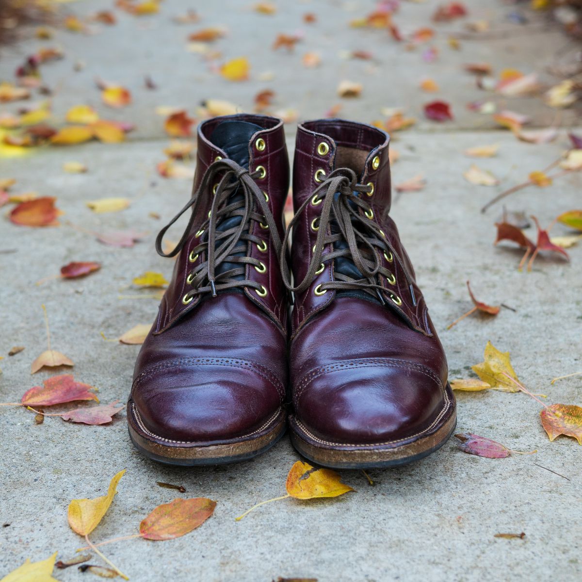 Photo by onelastboot on November 1, 2022 of the Viberg Service Boot in Horween Color 8 Chromexcel.
