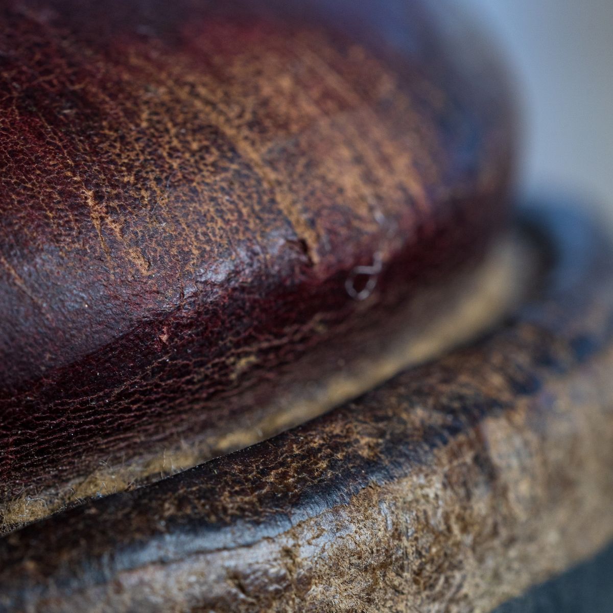 Photo by onelastboot on January 10, 2023 of the Viberg Service Boot in Horween Color 8 Chromexcel.