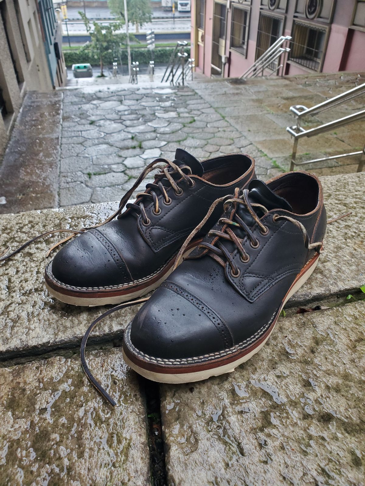 Photo by icarusflies95 on November 5, 2023 of the Viberg 145 Oxford in Horween Black Chromexcel.