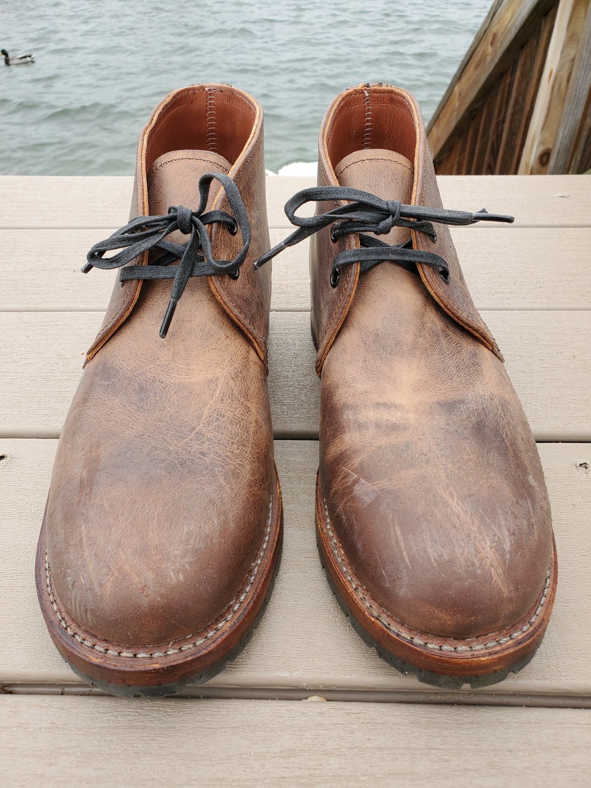 Photo by icarusflies95 on October 3, 2022 of the Red Wing Beckman Chukka in S.B. Foot Unknown Leather.