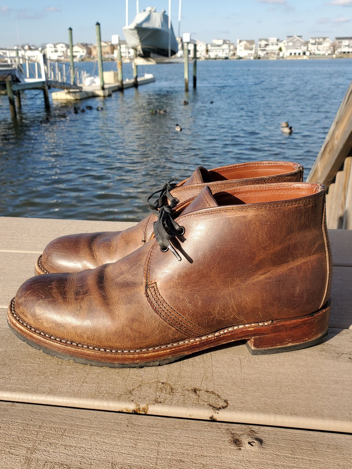 Photo by icarusflies95 on February 1, 2023 of the Red Wing Beckman Chukka in S.B. Foot Unknown Leather.