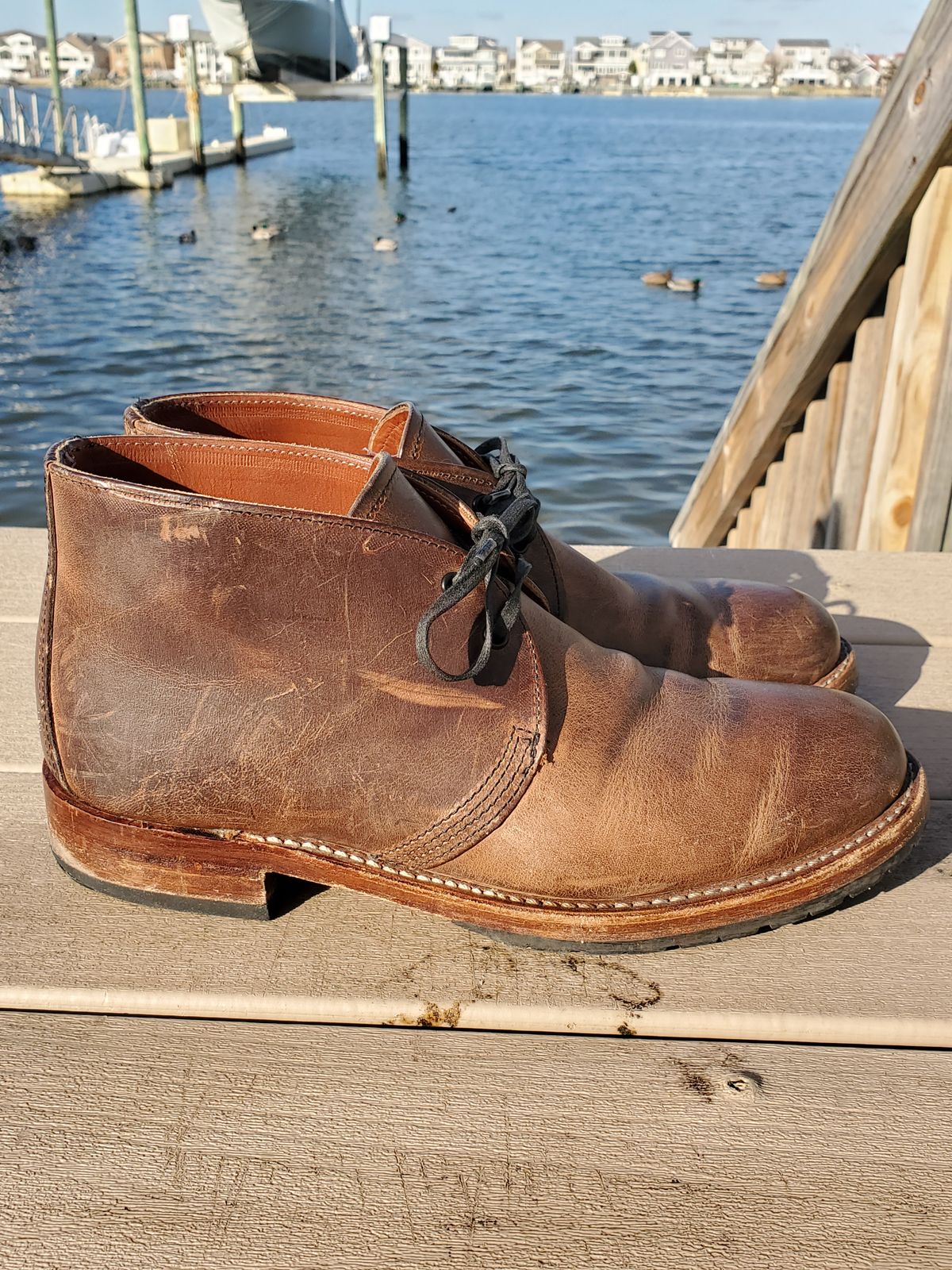 Photo by icarusflies95 on February 1, 2023 of the Red Wing Beckman Chukka in S.B. Foot Unknown Leather.