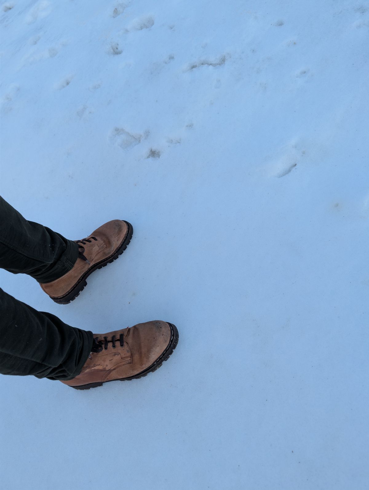 Photo by icarusflies95 on February 3, 2026 of the Paraboot Imbattable in Sauvage Naturel.