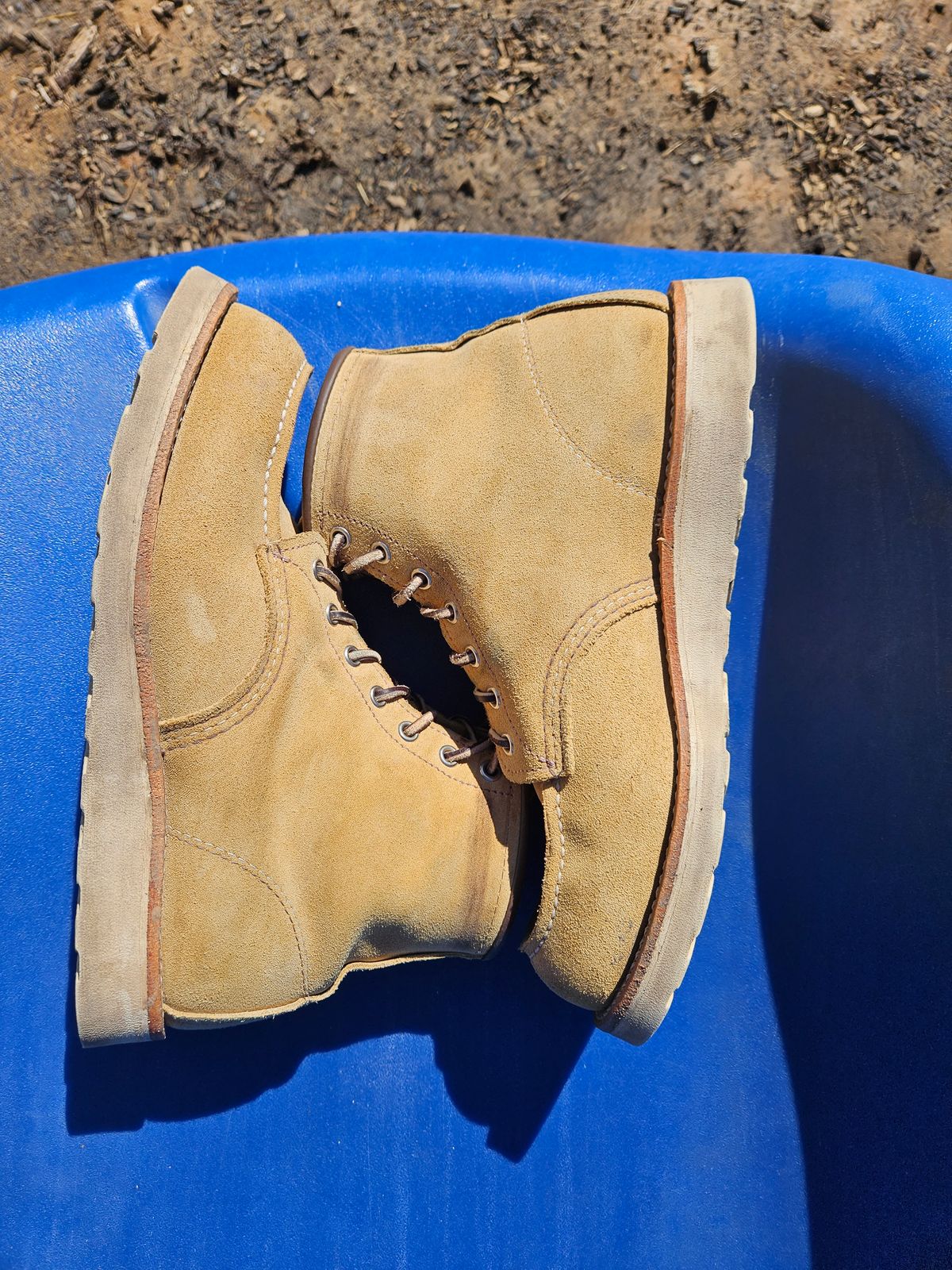 Photo by bro_moc on November 2, 2023 of the Red Wing 6-Inch Classic Moc in S.B. Foot Hawthorne Abilene.