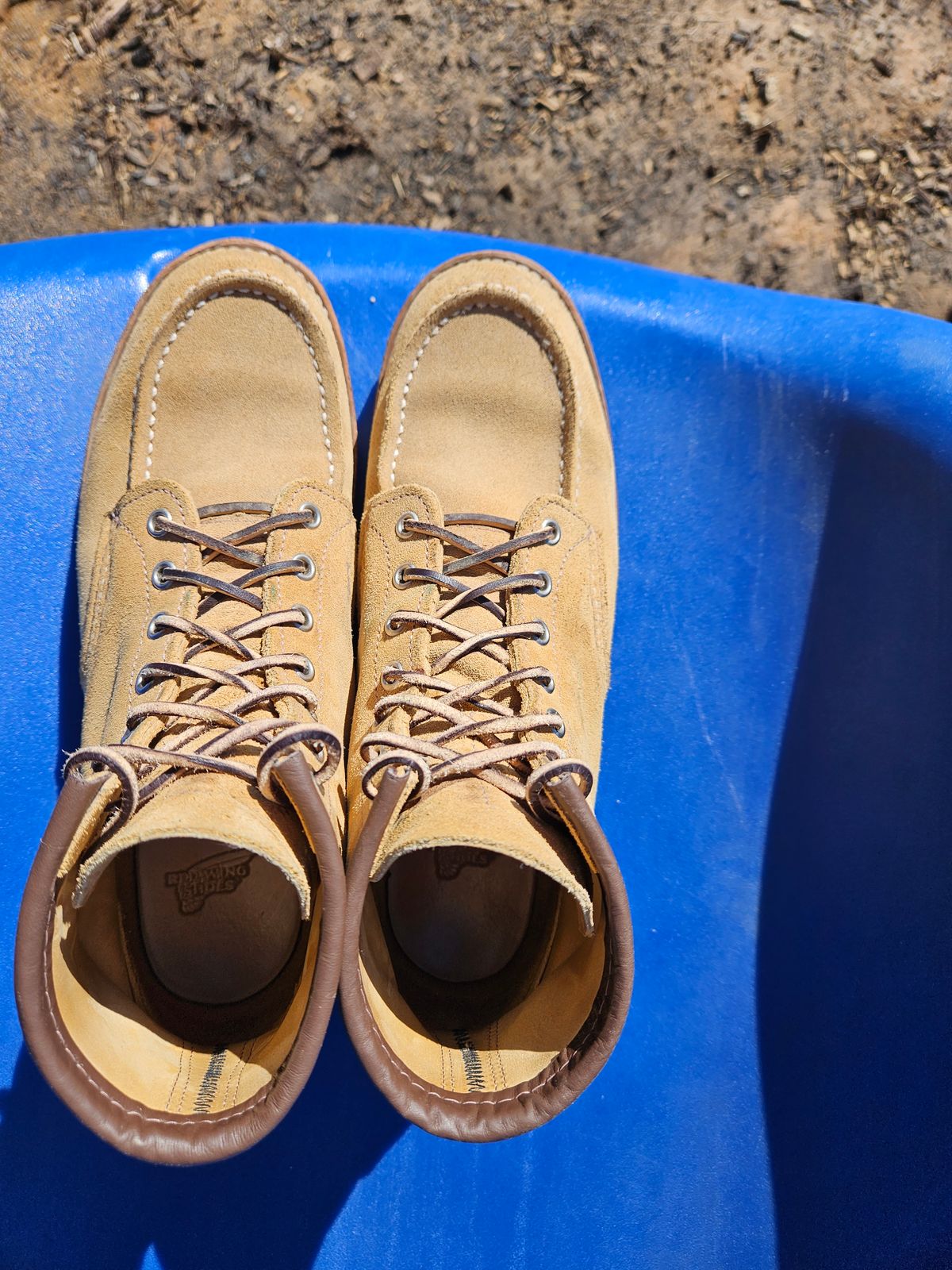 Photo by bro_moc on November 2, 2023 of the Red Wing 6-Inch Classic Moc in S.B. Foot Hawthorne Abilene.