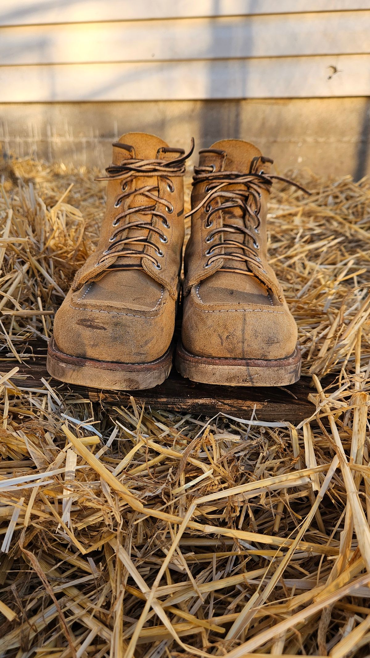 Photo by bro_moc on December 2, 2023 of the Red Wing 6-Inch Classic Moc in S.B. Foot Hawthorne Abilene.