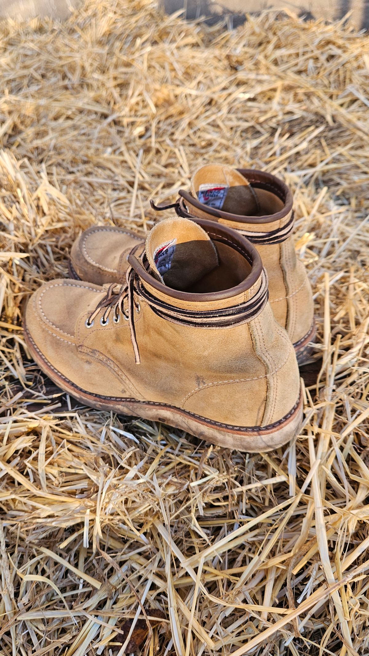 Photo by bro_moc on December 2, 2023 of the Red Wing 6-Inch Classic Moc in S.B. Foot Hawthorne Abilene.